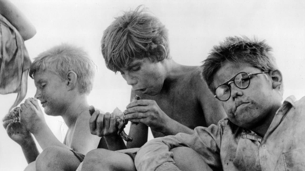 Sa Majesté des Mouches backdrop