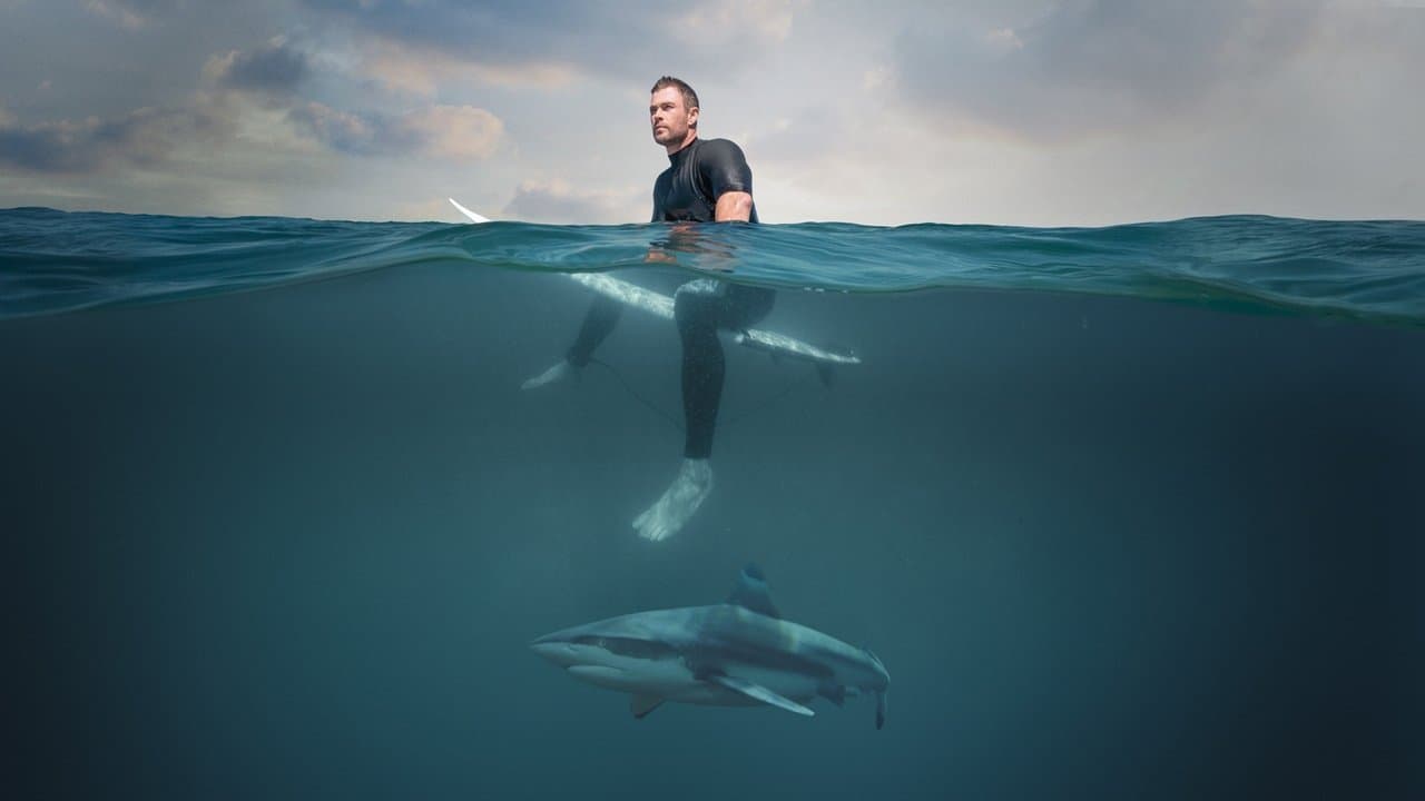 Chris Hemsworth à la rencontre des requins backdrop