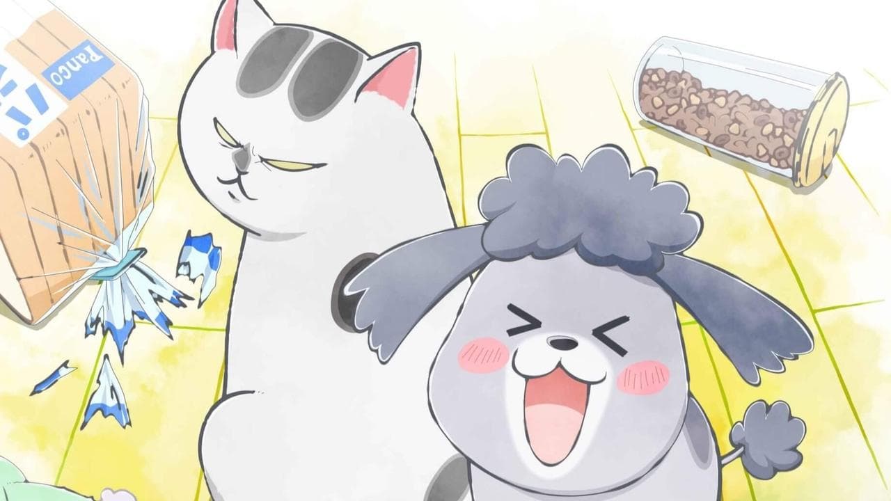 With a Dog AND a Cat, Every Day is Fun backdrop