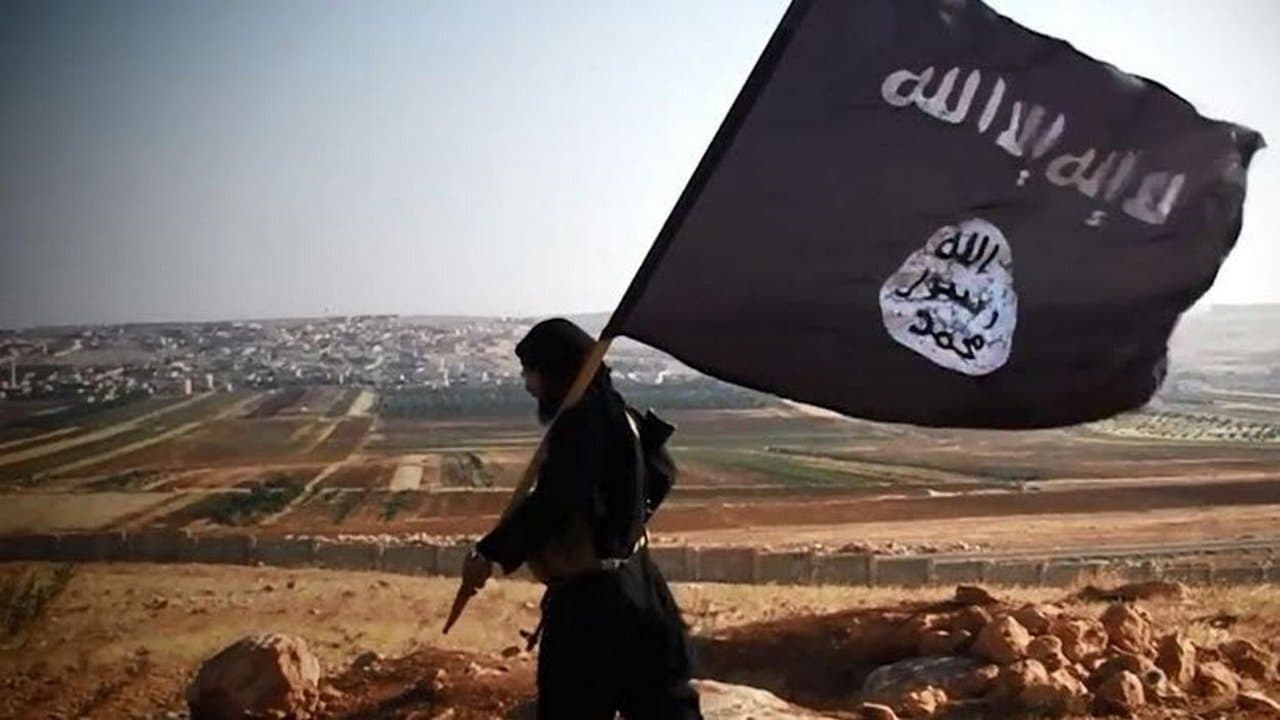 Daech, naissance d'un Etat terroriste backdrop