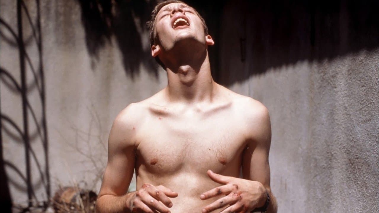 Le petit voleur backdrop