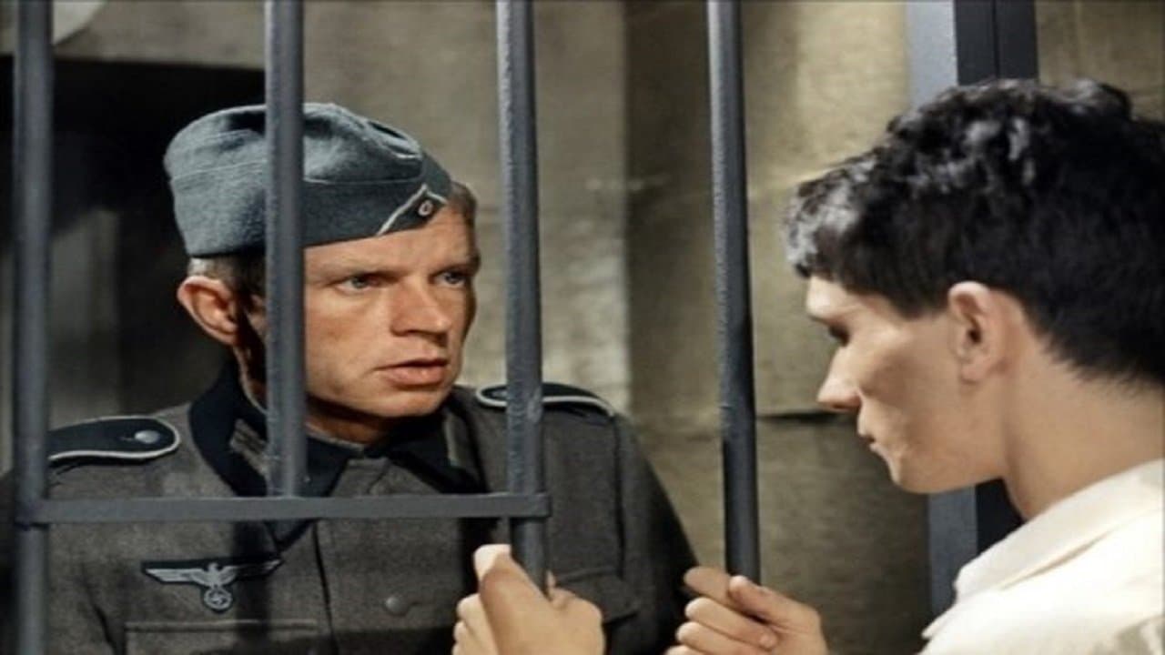 Le Franciscain de Bourges backdrop