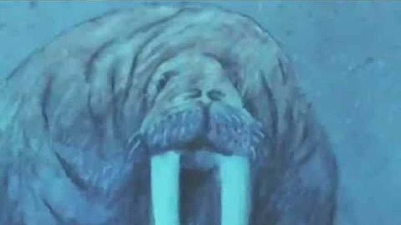 Le Fleuve aux grandes eaux backdrop