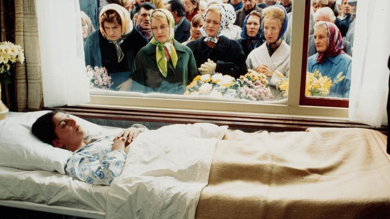 Les Habitants backdrop