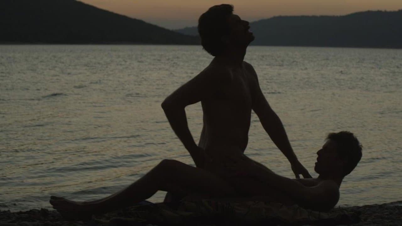 L'Inconnu du lac backdrop