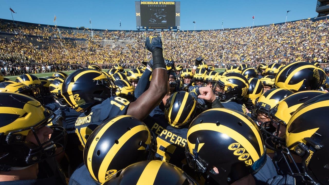 La Victoire sinon rien : The Michigan Wolverines backdrop