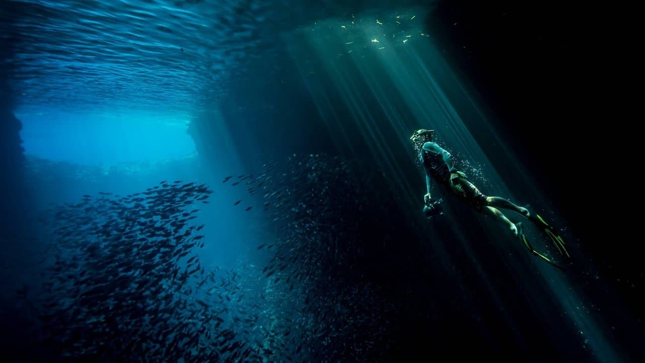 Terre en lumière backdrop