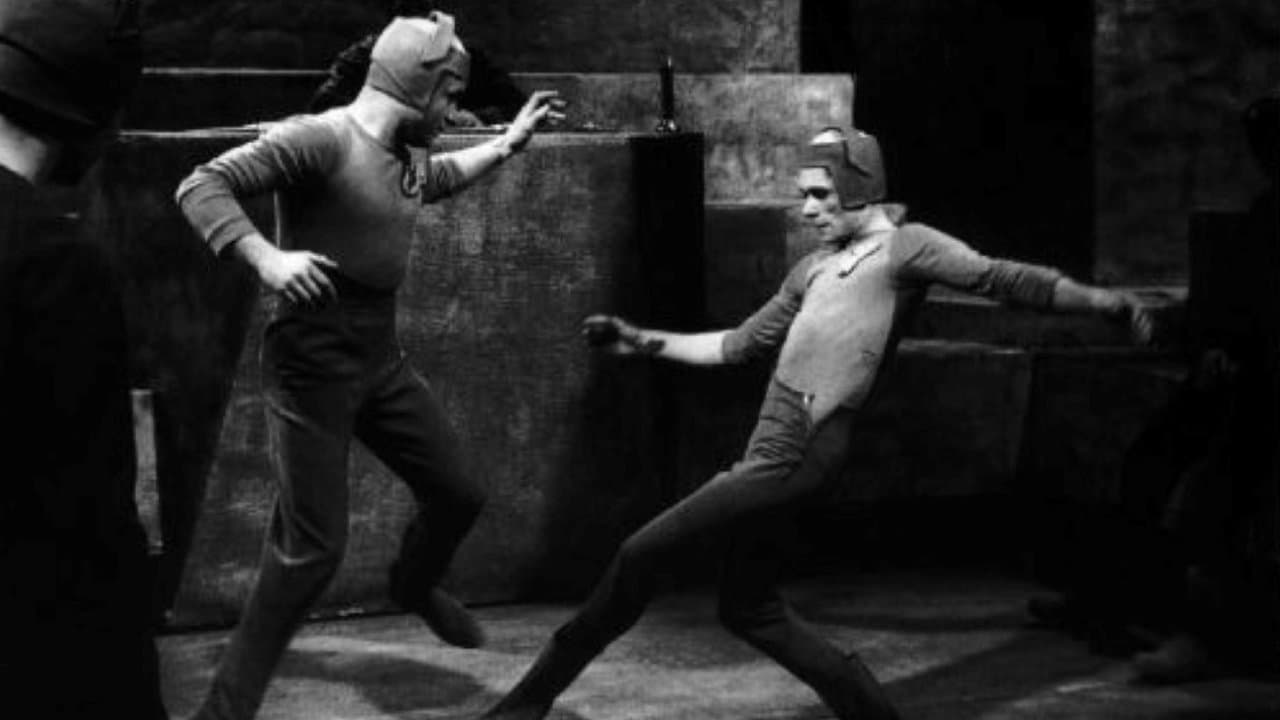 Le Navire étoile backdrop