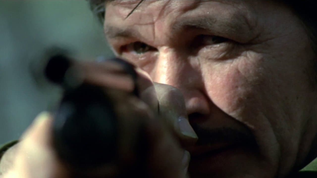 La Cité de la violence backdrop