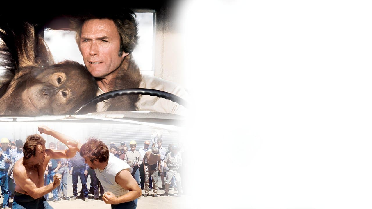 Doux, dur et dingue backdrop