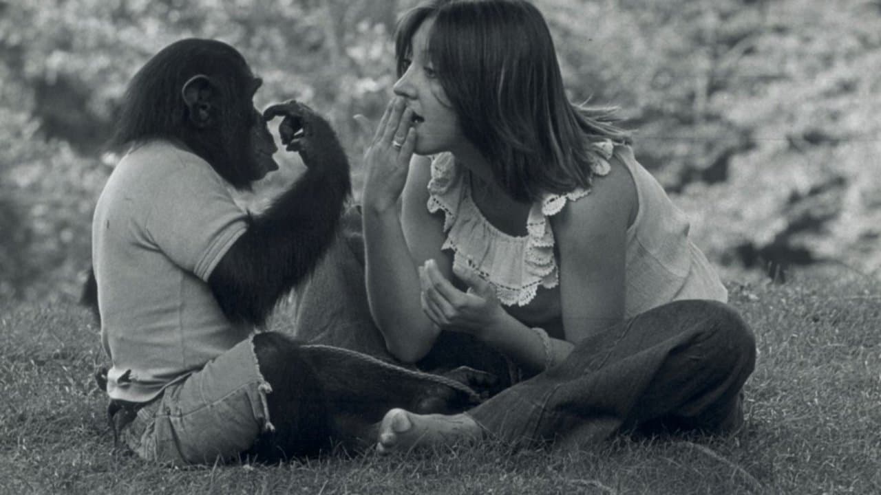 Le Projet Nim backdrop