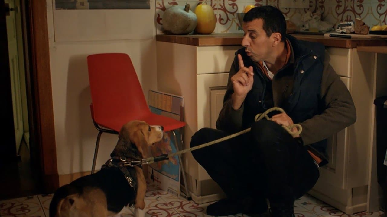 Le Dogsitter (Maintenant que je suis un fantôme) backdrop