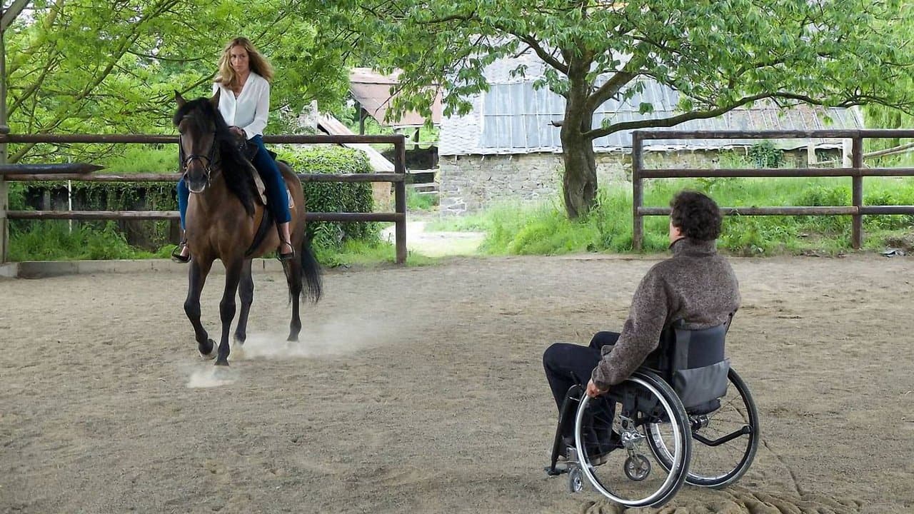 En équilibre backdrop