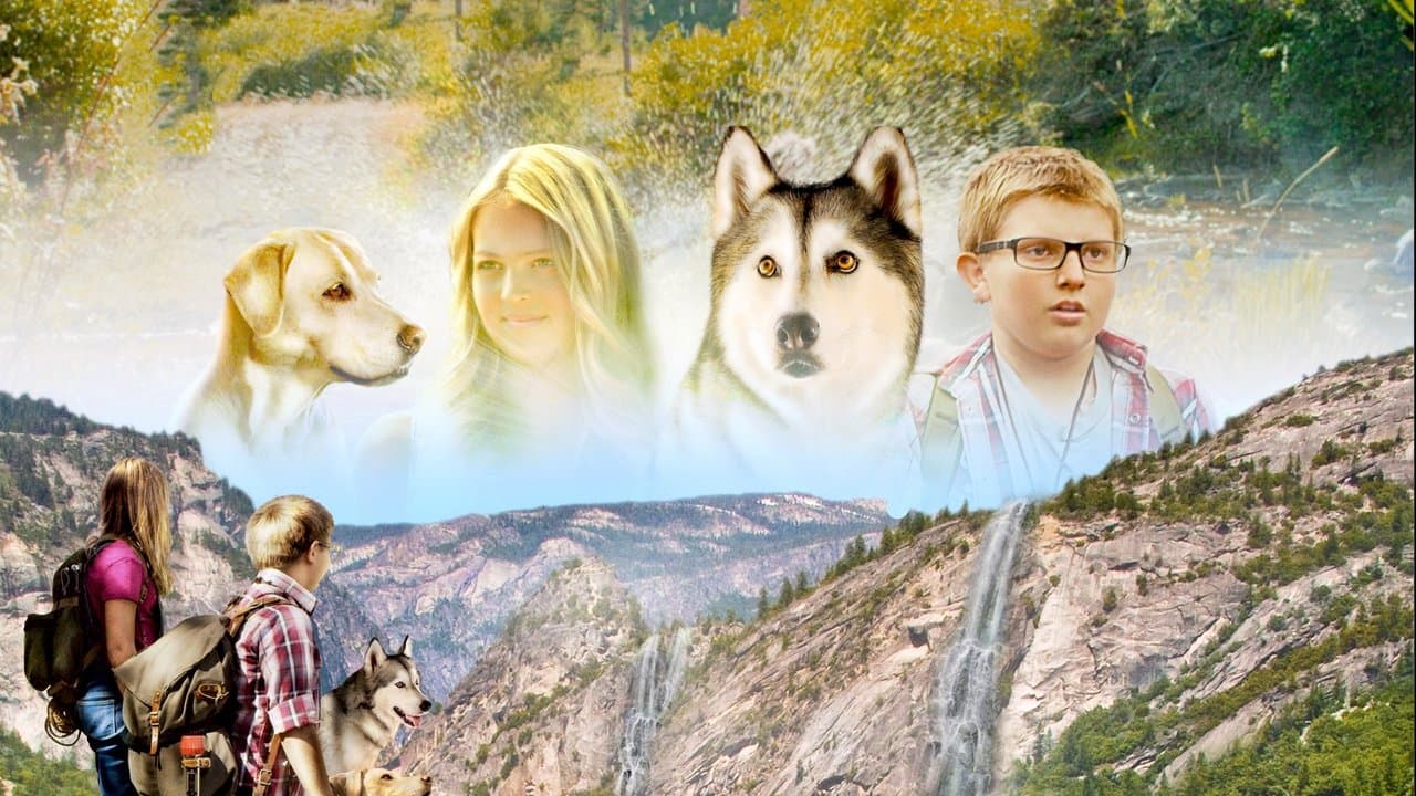 Timber et la carte au trésor backdrop