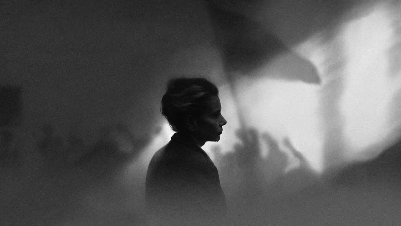 Chers camarades ! backdrop