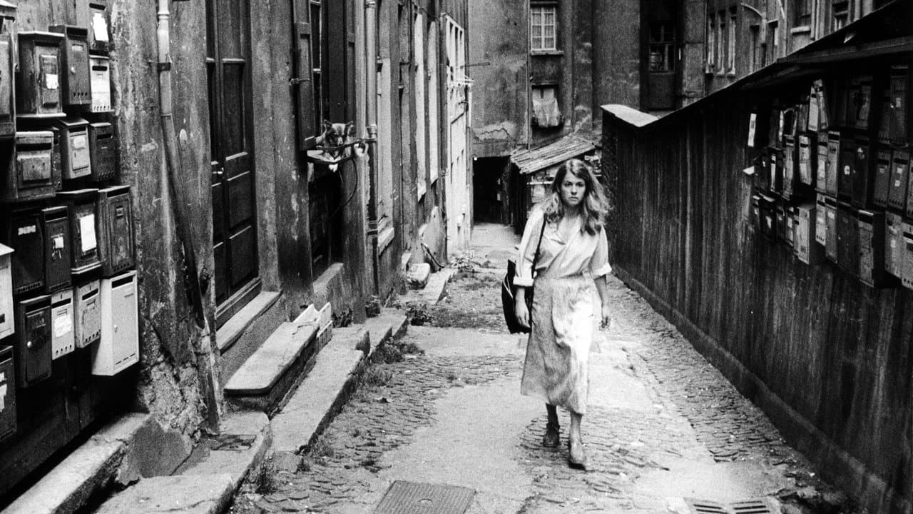 Le voyage à Lyon backdrop