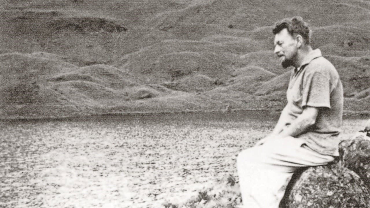 Le volcan : reflexion sur la vie et mort de Malcom Lowry backdrop