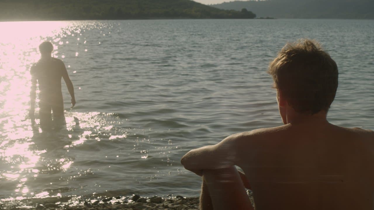 L'Inconnu du lac backdrop