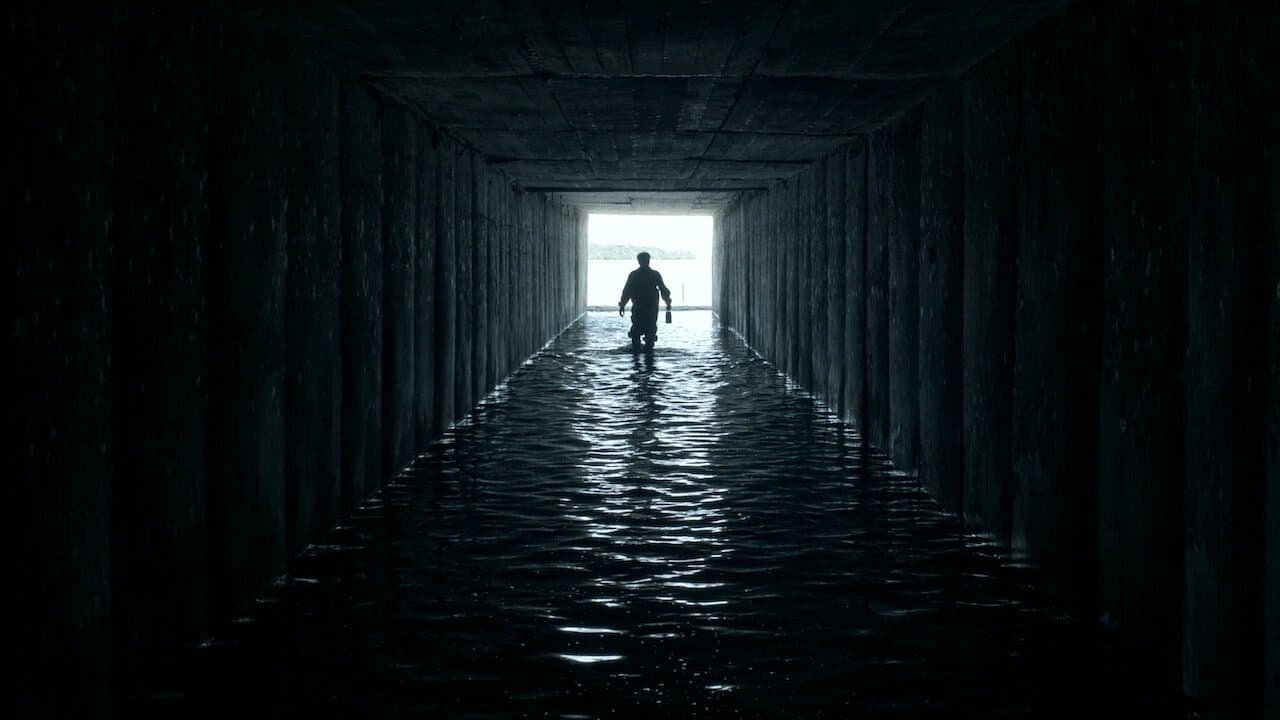 Les Braqueurs du siècle backdrop