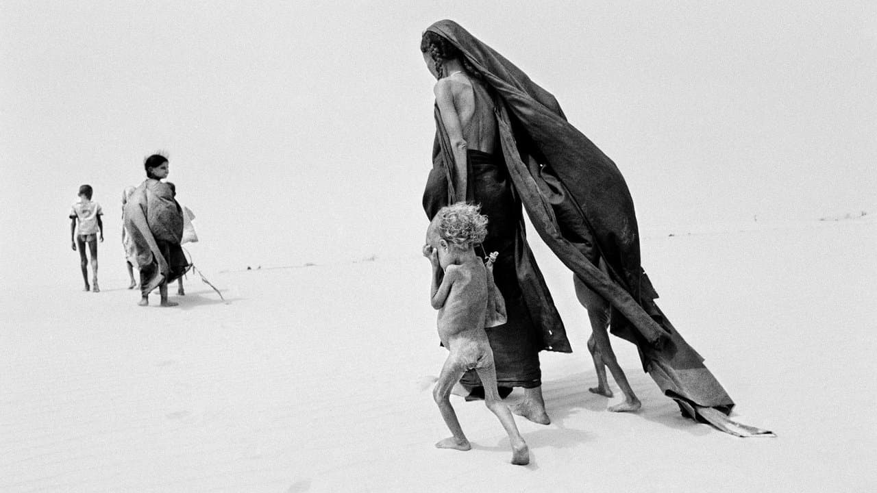 Le Sel de la Terre backdrop