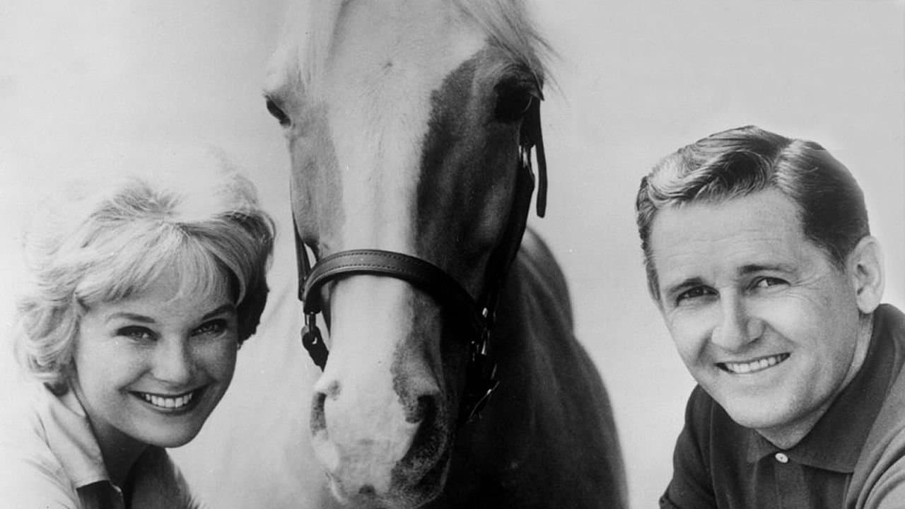 Monsieur Ed, le cheval qui parle backdrop