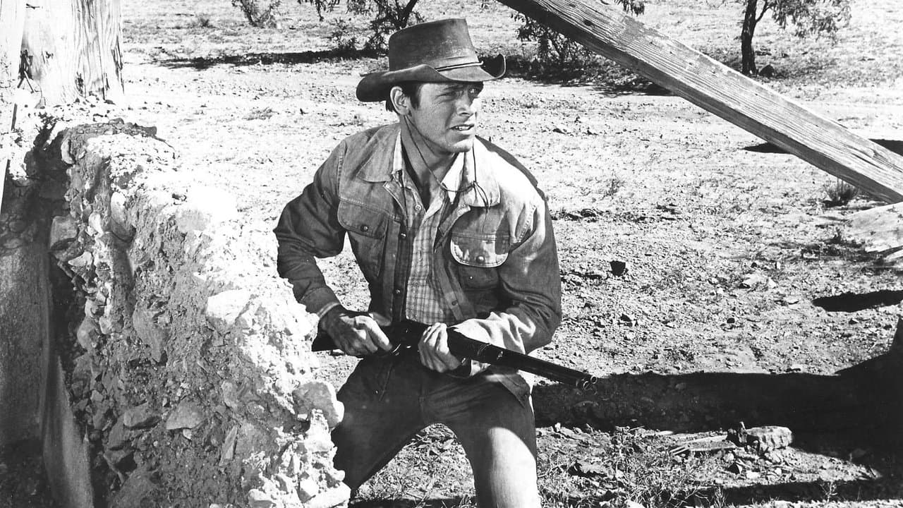 Le Justicier De L'Arizona backdrop