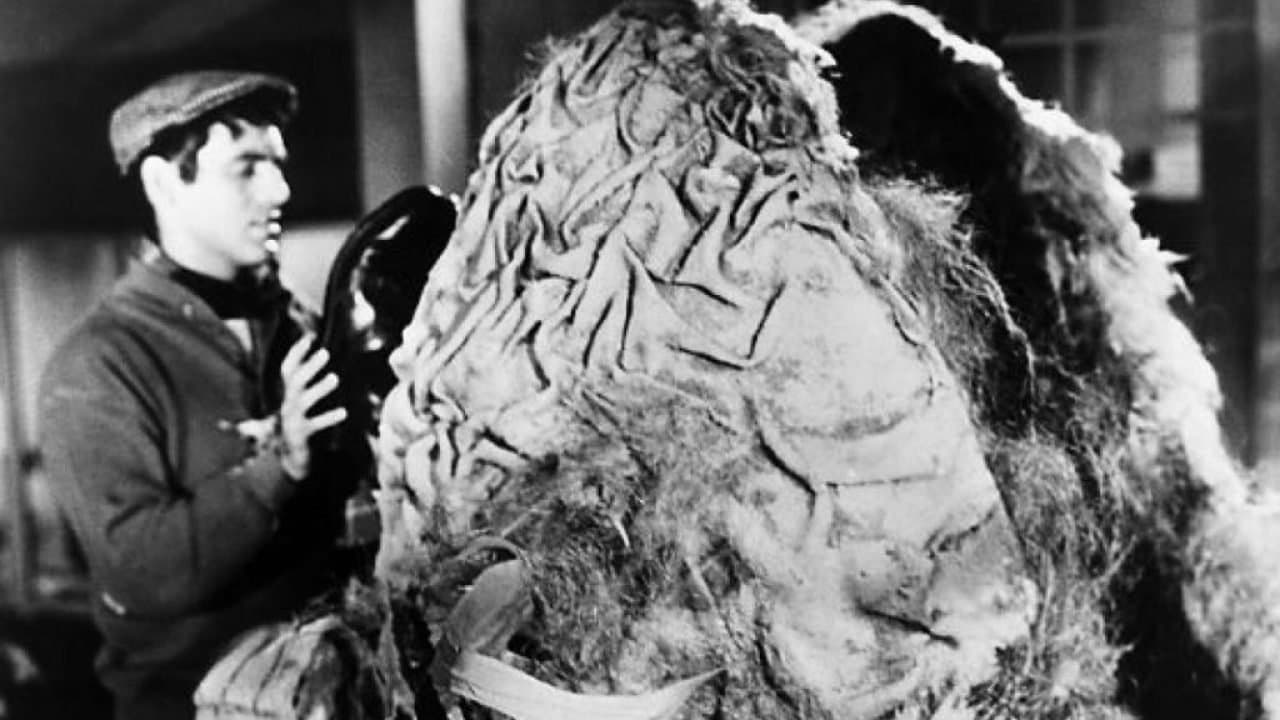 La Petite boutique des horreurs backdrop