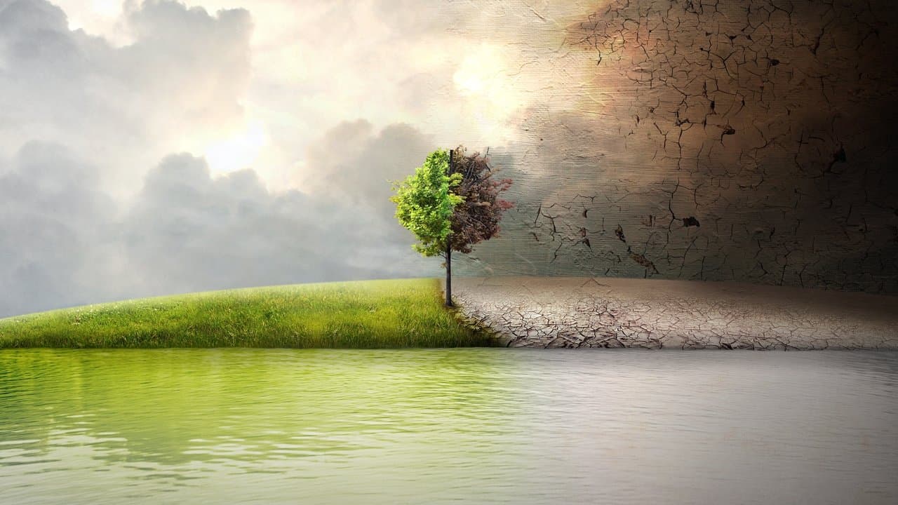 Avant le déluge backdrop