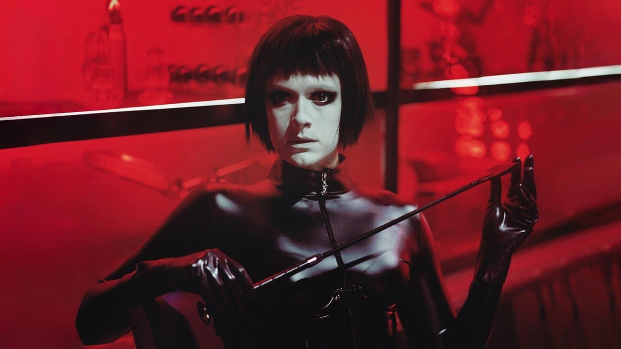 Les chiens ne portent pas de pantalon backdrop