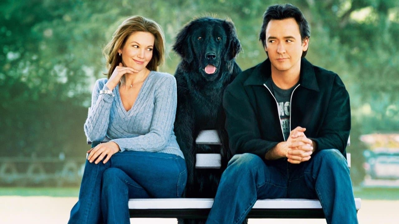 La Main au collier backdrop