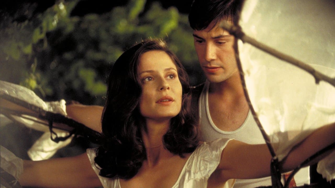 Les vendanges de feu backdrop