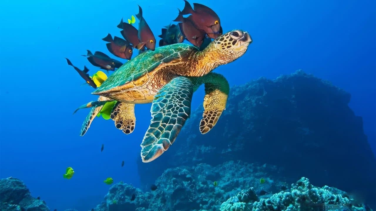 Voyage sous les mers 3D backdrop