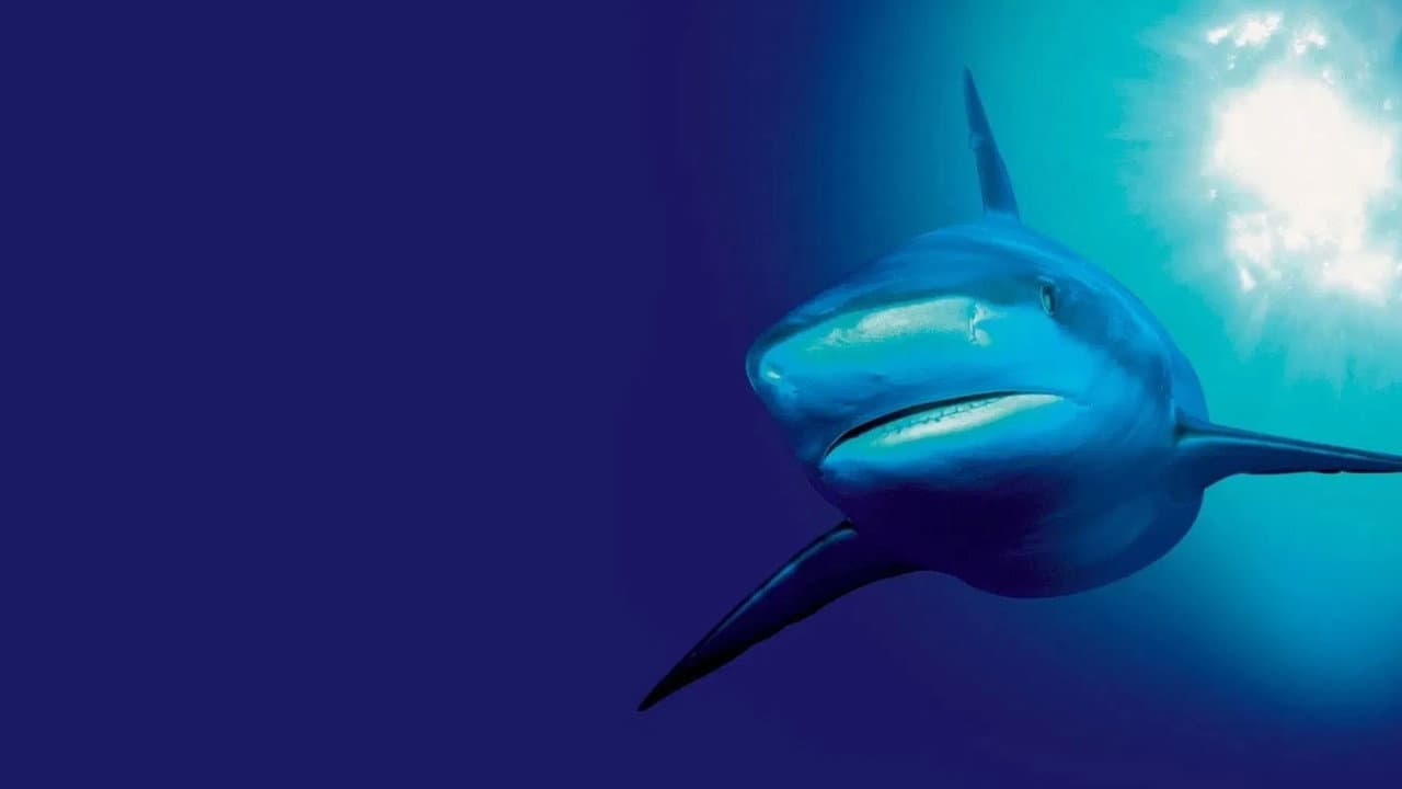 Au cœur des océans - La Planète bleue backdrop