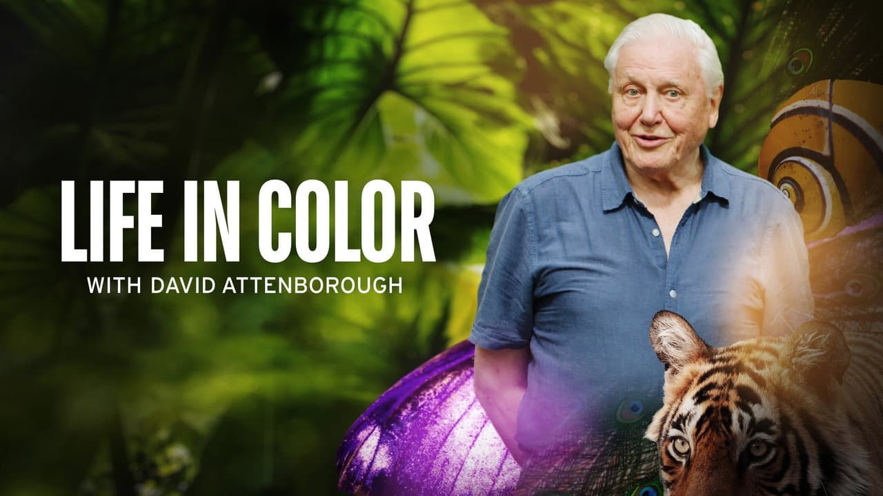 La Vie en couleurs avec David Attenborough backdrop