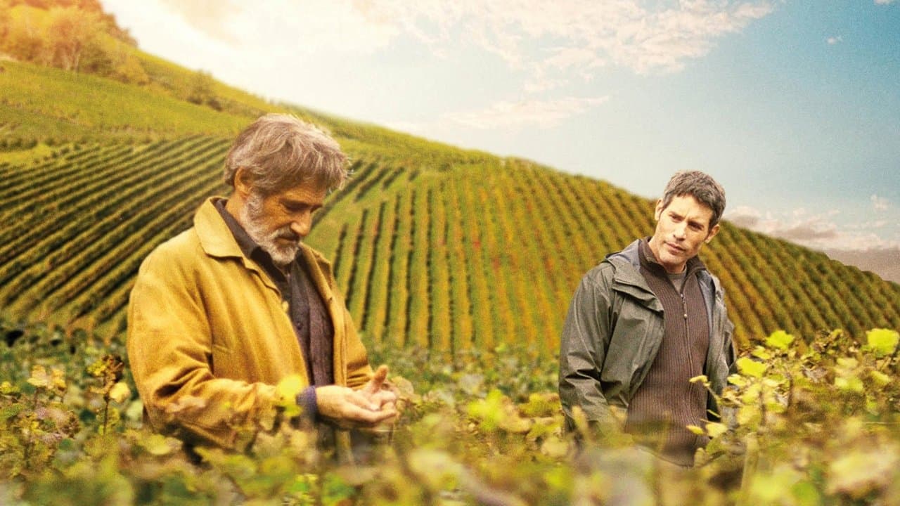 Premiers crus backdrop