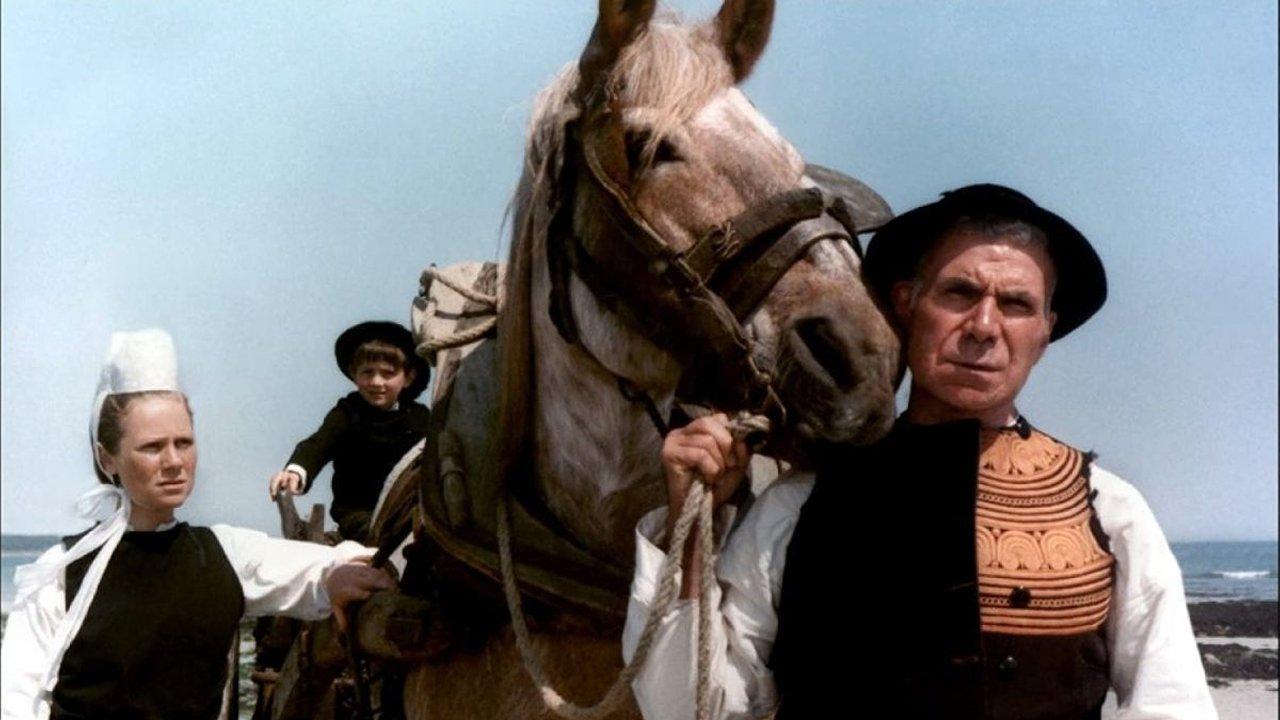 Le cheval d'orgueil backdrop