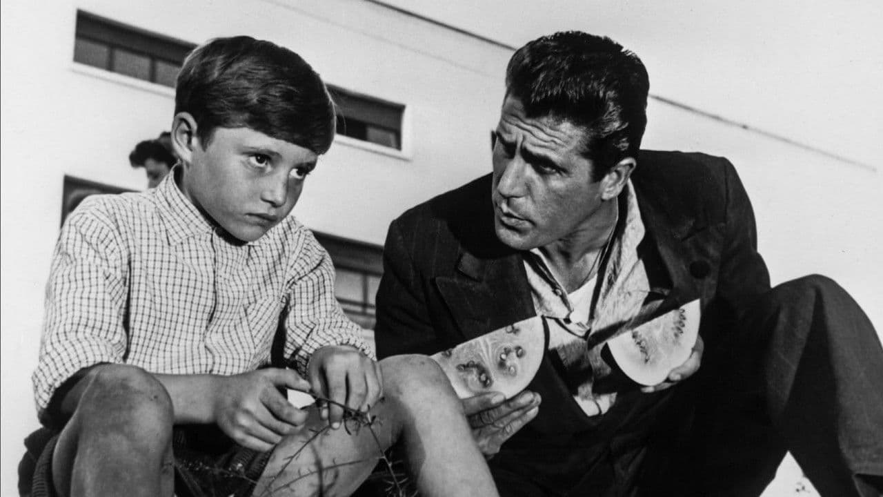 Tu es mon fils backdrop