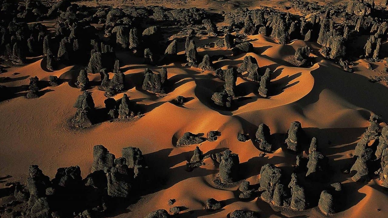 L'Algérie Vue Du Ciel backdrop