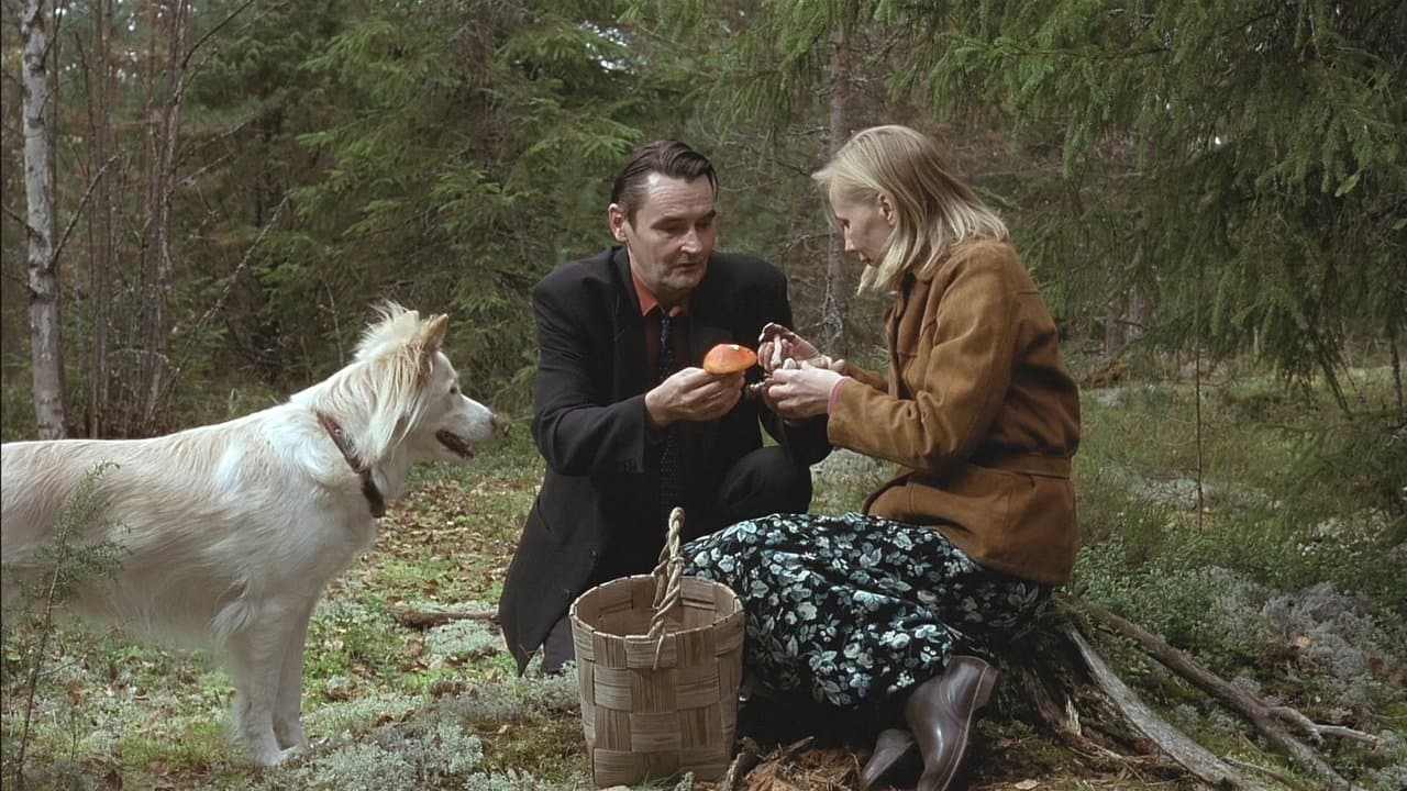 L'Homme sans passé backdrop