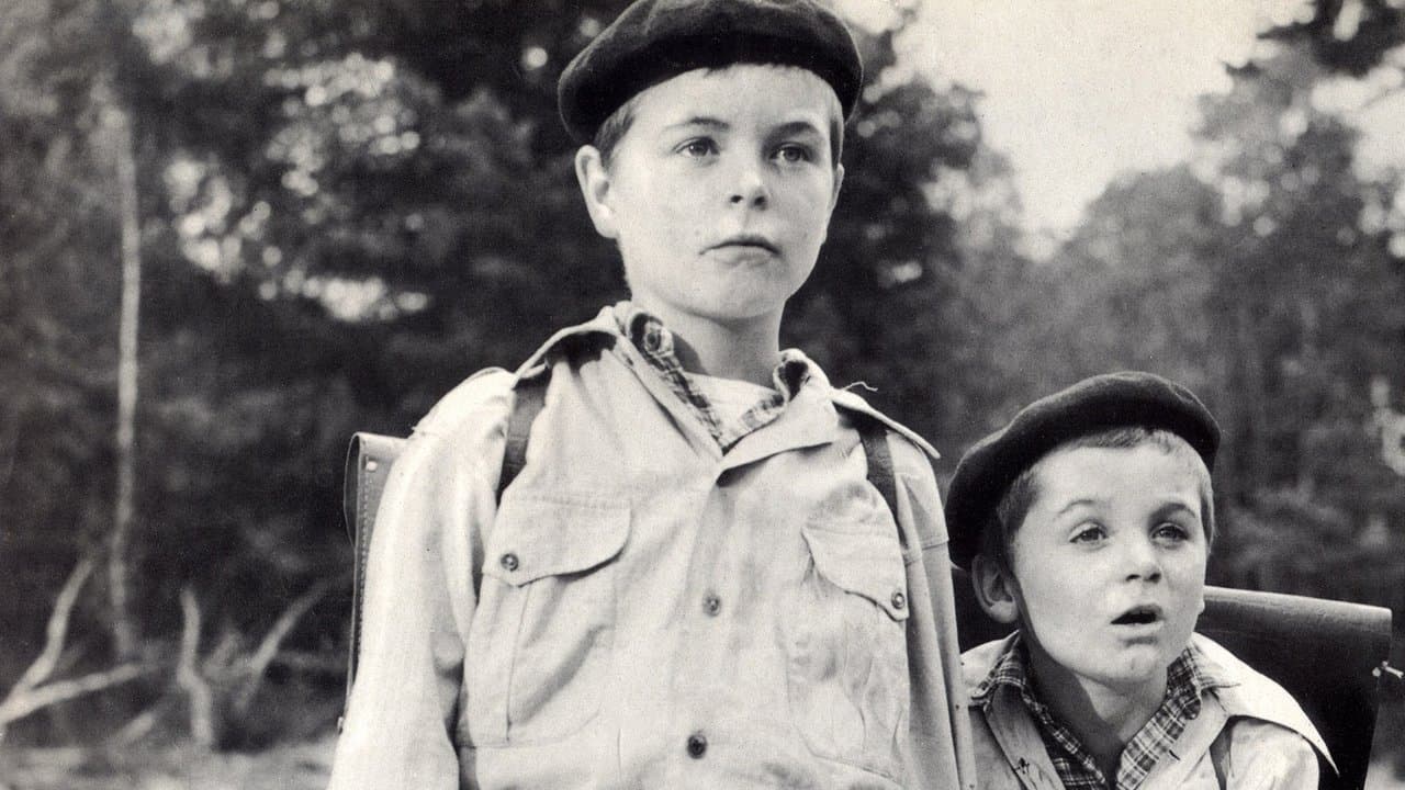 La Guerre des boutons backdrop