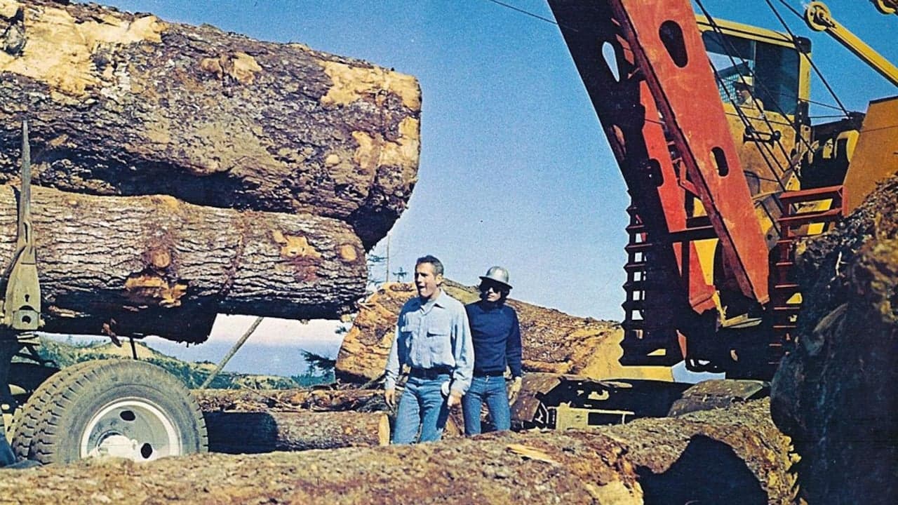 Le Clan des irréductibles backdrop