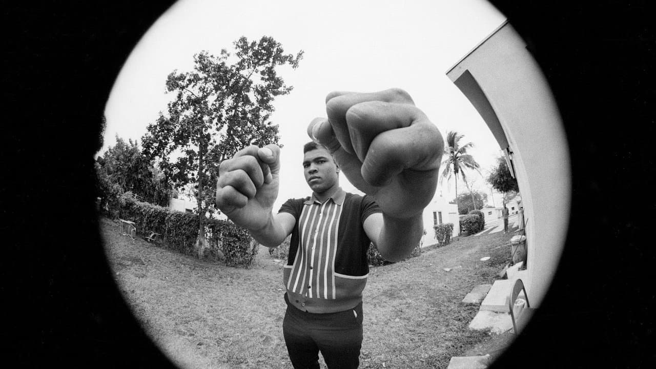 Mohamed Ali backdrop