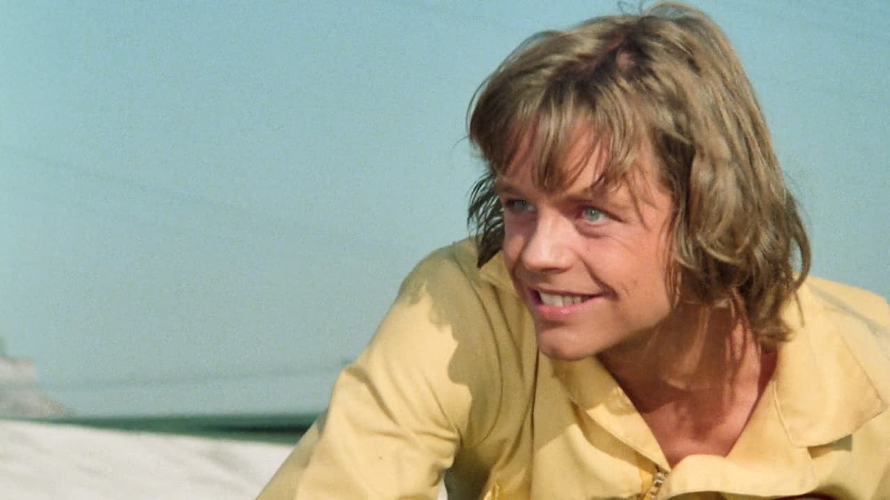 Corvette Summer backdrop