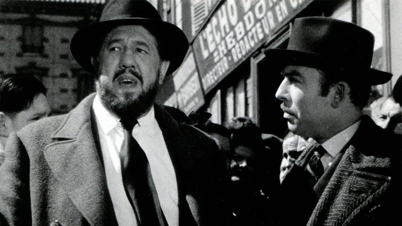 Non coupable backdrop