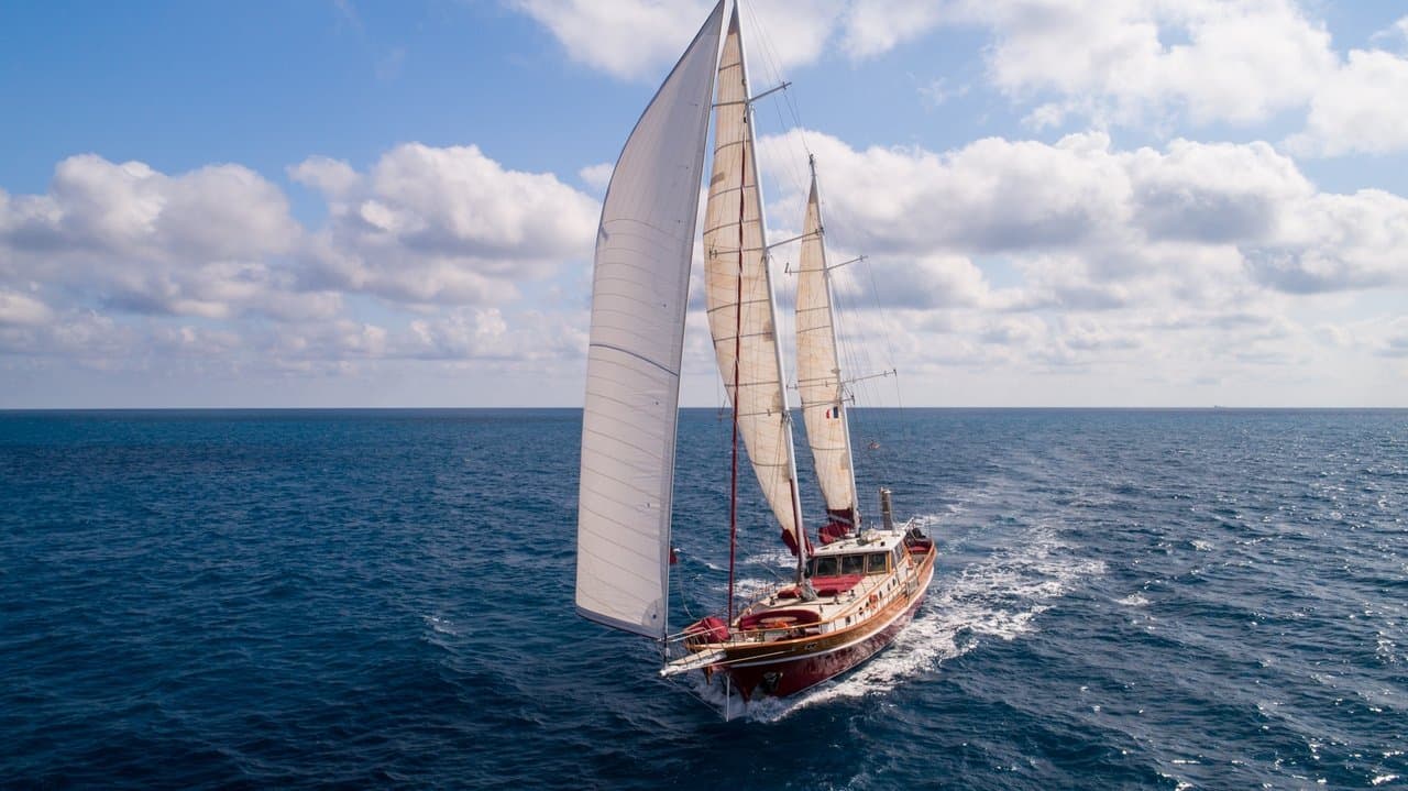 Dans le sillage d'Ulysse avec Sylvain Tesson backdrop