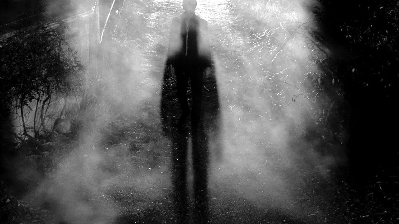 La fille aux deux visages backdrop