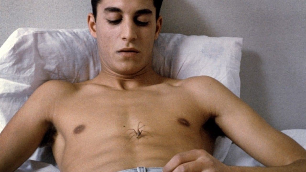 Les corps ouverts backdrop