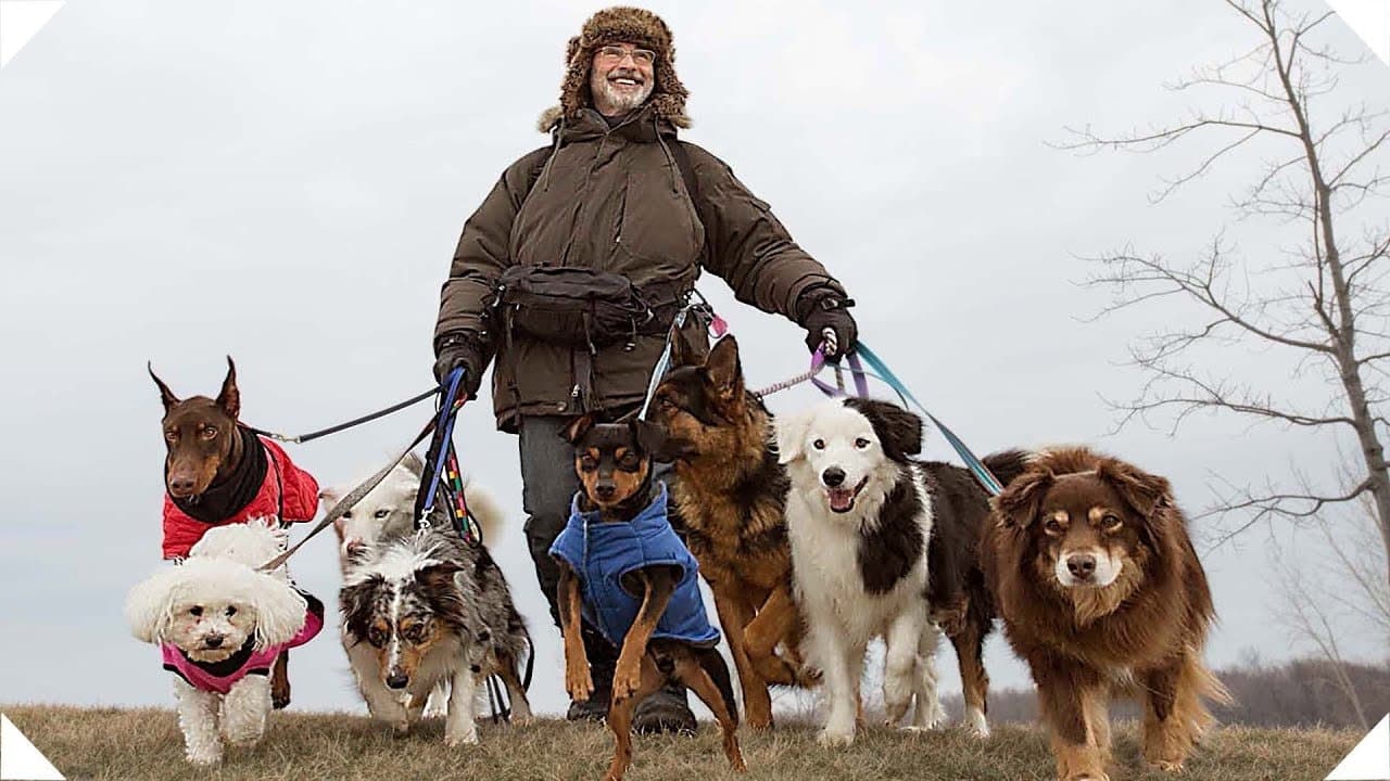 La Nouvelle Vie de Paul Sneijder backdrop