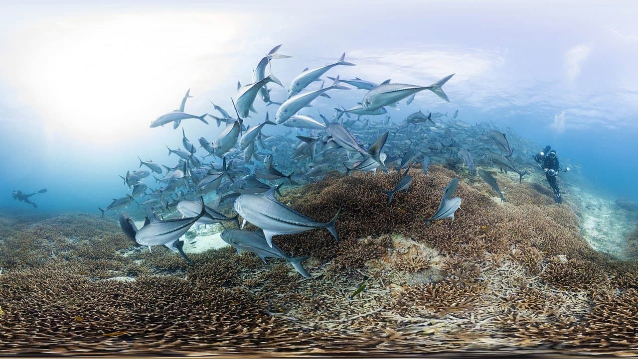 Climat en péril : La preuve par l'image backdrop