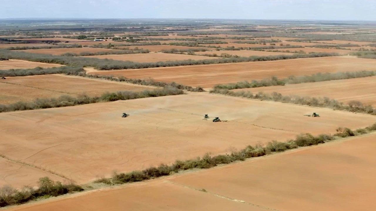 Pesticides, l'hypocrisie européenne backdrop